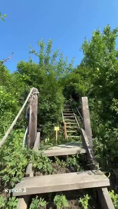  купол №3